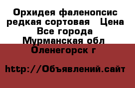 Орхидея фаленопсис редкая сортовая › Цена ­ 800 - Все города  »    . Мурманская обл.,Оленегорск г.